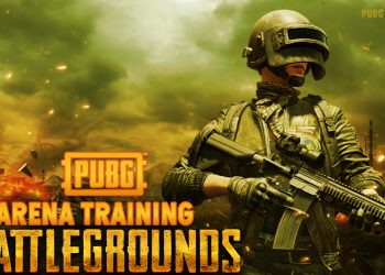 Which Gun Is Perfect For Arena Training Game Mode